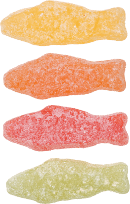 Zoom bild av Fyra sursockrade geléfiskar i pastellfärger: gul, orange, röd och grön, mot vit bakgrund